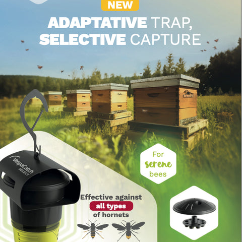 Asian Hornet Trap, Vespa Catch Select - With or Without 5 Attractant Lures