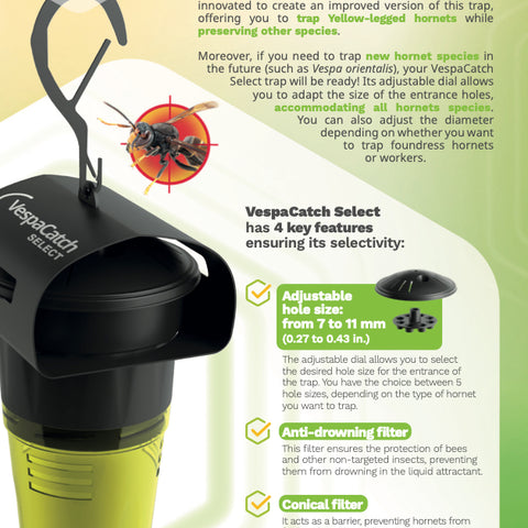 Asian Hornet Trap, Vespa Catch Select - With or Without 5 Attractant Lures
