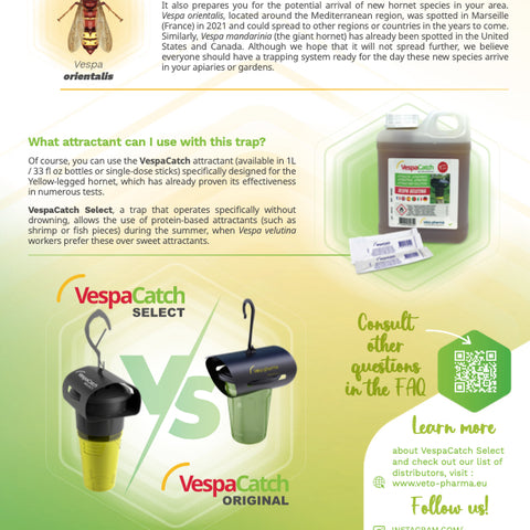 Asian Hornet Trap, Vespa Catch Select - With or Without 5 Attractant Lures