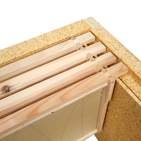 Maisemore National Poly Hive