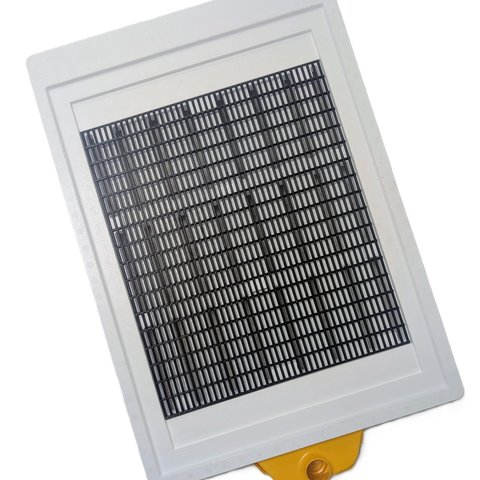 Paradise Honey - The Beebox Smart System 10 Frame