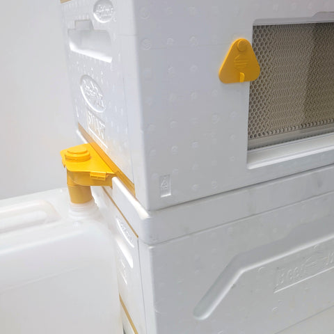 Paradise Honey - The Beebox Smart System 10 Frame