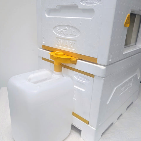 Paradise Honey - The Beebox Smart System 10 Frame