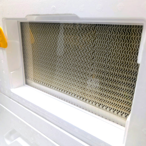 Paradise Honey - The Beebox Smart System 10 Frame
