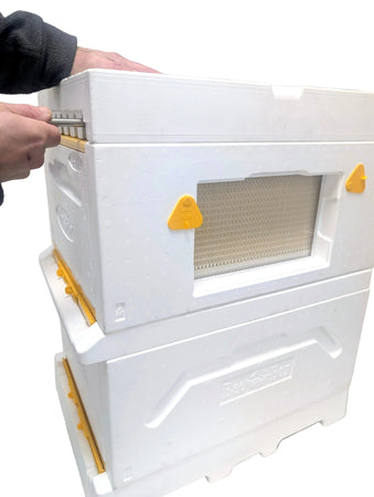 Paradise Honey - The Beebox Smart System 10 Frame