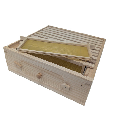 National Premium Observation Hive with 2 Supers and Frames and Foundation