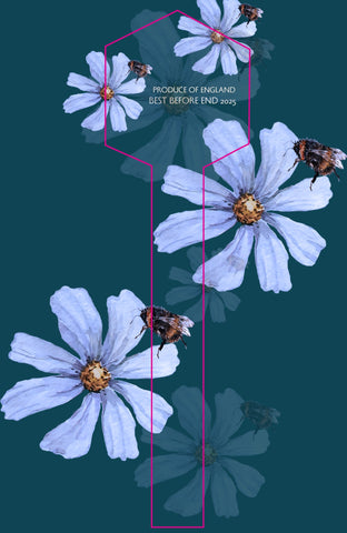 Tamper Evident Honey Label Design 24