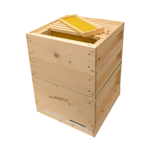 Bundle 4 Value Hive With Frames and Foundation + Beehive Paint of Your Choice