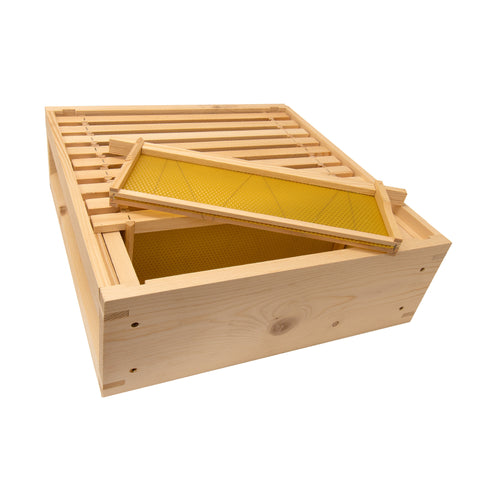 Bundle 4 Value Hive With Frames and Foundation + Beehive Paint of Your Choice