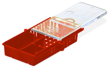 Red Queen Introduction Cage