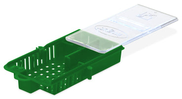 Green Queen Introduction Cage