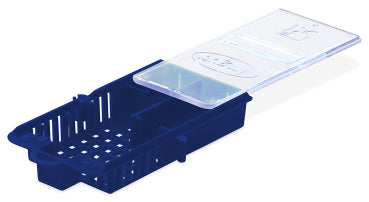 Blue Queen Introduction Cage