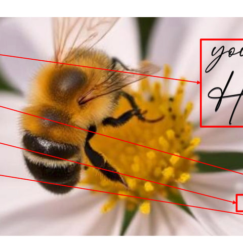 Honey Label Design 146