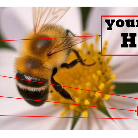 Honey Label Design 147