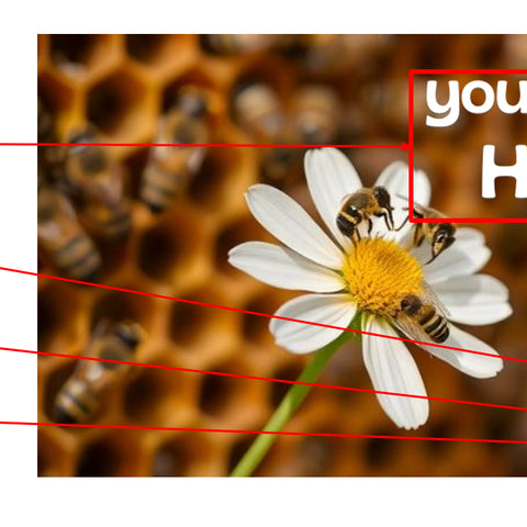 Honey Label Design 150