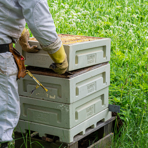 Honey Paw Langstroth Standard Hive Roof