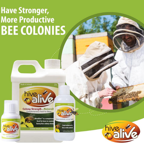 Hive Alive 2L Bee Food Liquid Concentrate (EXP 04/2028)