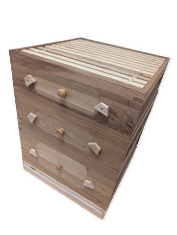 National Western Cedar Observation Hive with 2 Supers and Frames & Foundation