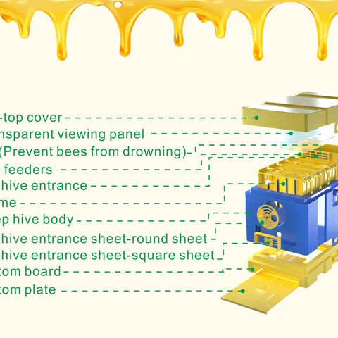 Plastic Mating Hive