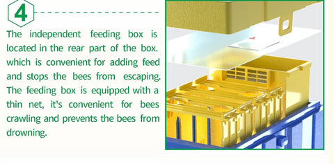 Plastic Mating Hive