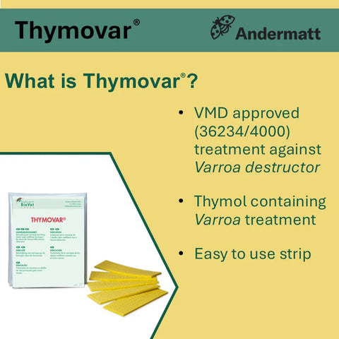 Thymovar - 10 Strips EXP: 03/2028