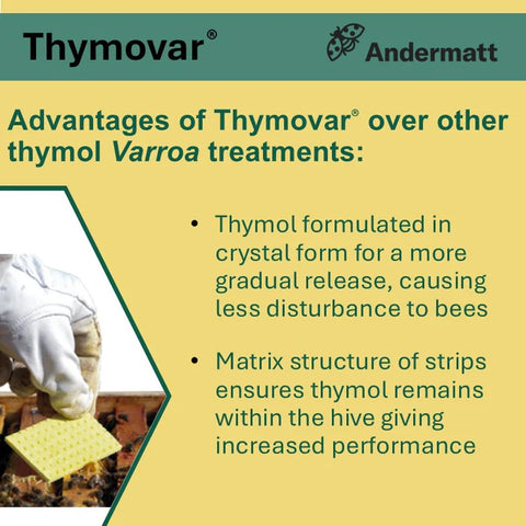 Thymovar - 10 Strips EXP: 03/2028