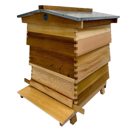 Simon The Beekeeper National Western Cedar WBC Style Hive (With Inner National Cedar Hive with Frames and Foundation)