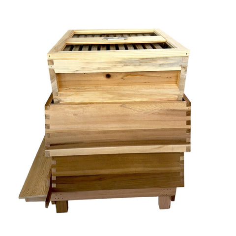 Bundle 17 - Fully Assembled Western Red Cedar WBC Style Hive with Fully Assembled Value Hive With Fully Assembled Frames and Foundation