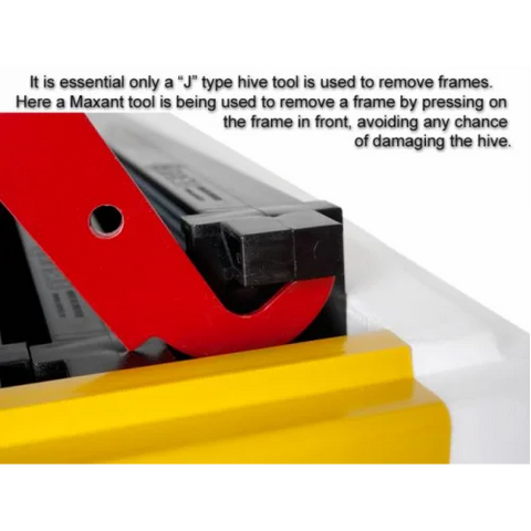 Paradise Honey Langstroth 10-Frame Hive with 3 Deep Bodies