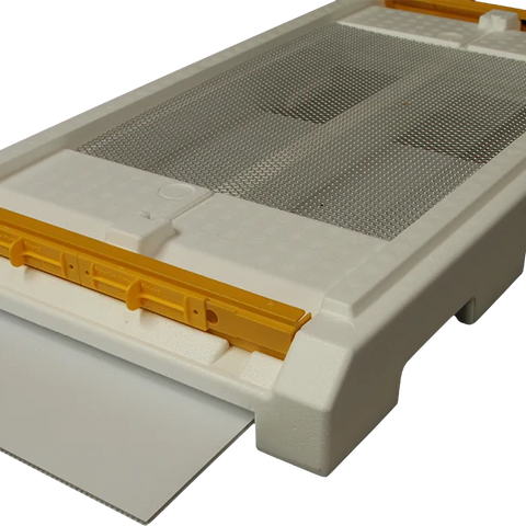 Paradise Honey 6 Frame Langstroth Nuc