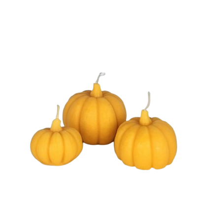 Pumpkin Candle Mould Set