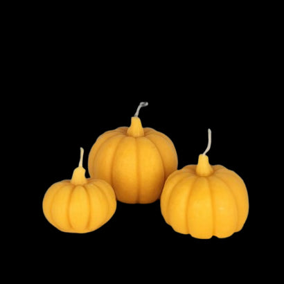 Pumpkin Candle Mould Set