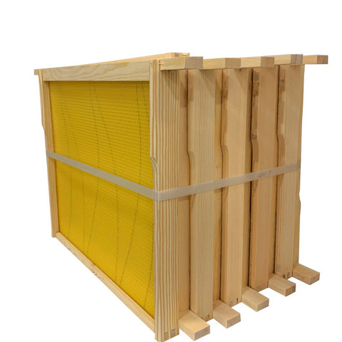 Bundle 10 - Paynes National Poly Hive with 2 Supers and Assembled Frames & Foundation