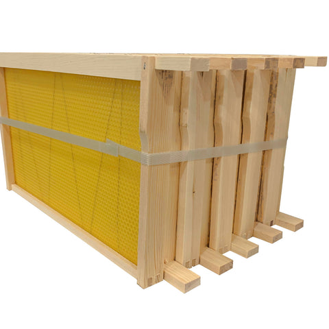 Dn2 Frame Assembled DN4 Frames with Wired Foundation – Simon The Beekeeper