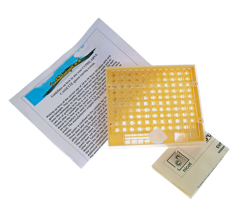 Nicotplast Plastic Comb Box