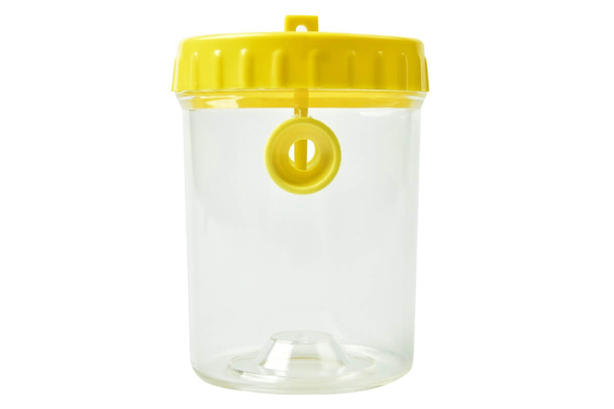 Clear Plastic Wasp Trap – Simon The Beekeeper